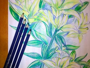 Малювання акварельними олівцями Faber-Castell серії Creative studio.